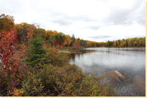 Fisheye view of east end Beaver Pond from north shore 2016-10-14
