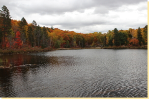 East view of Beaver Pond from north shore 2016-10-14