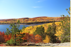 View southwest over Little Cub Bay (Bark Lake) from Eagles hill viewpoint 2016-10-19