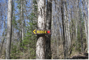 Ridge Loop sign - 2018-05-06